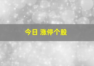 今日 涨停个股